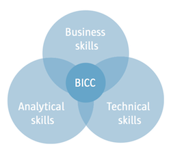 Business Intelligence Competency Center